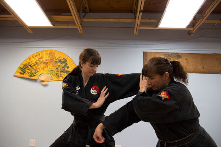 Three Sectional Staff - School of Shaolin